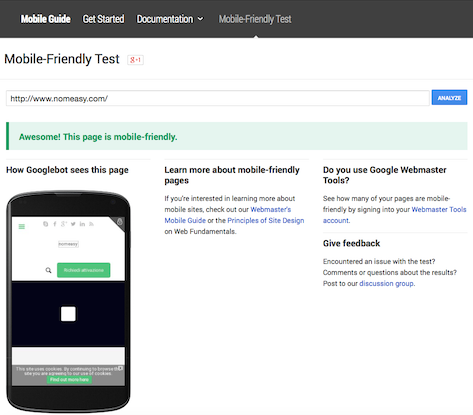 Google Mobile-Friendly Test